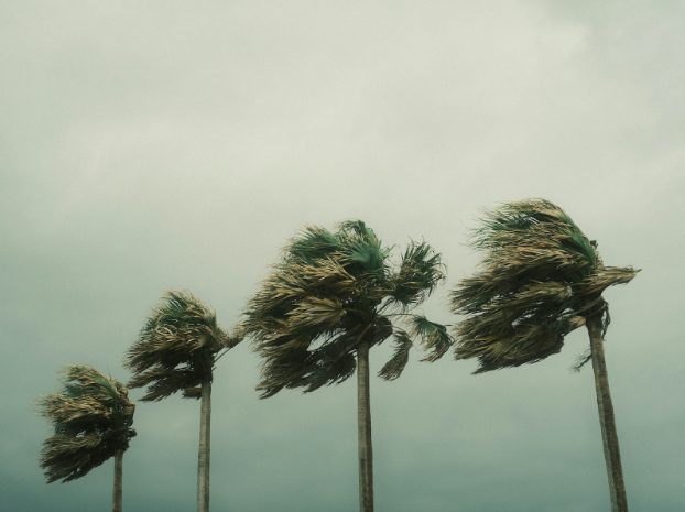 How to Protect Your Clients in the Height of Hurricane Season